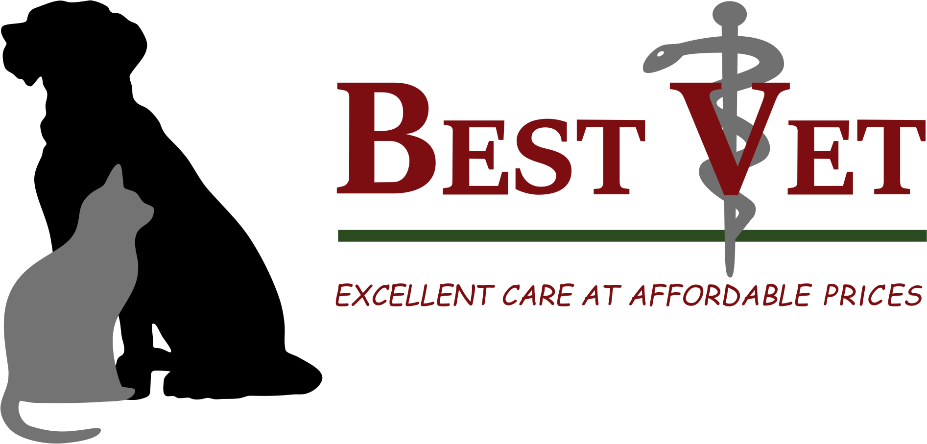 Best Vet